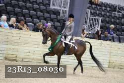 23R13_08030 thumbnail
