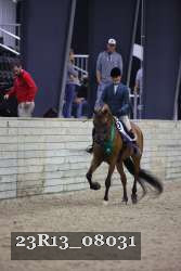 23R13_08031 thumbnail