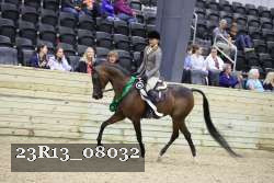 23R13_08032 thumbnail