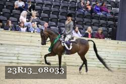 23R13_08033 thumbnail