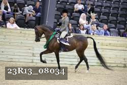 23R13_08034 thumbnail