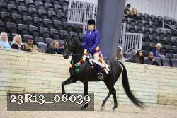 23R13_08039 thumbnail