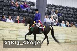23R13_08040 thumbnail