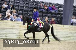 23R13_08041 thumbnail