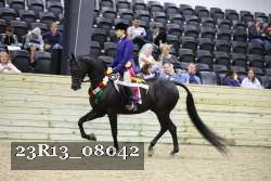 23R13_08042 thumbnail