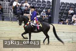 23R13_08043 thumbnail