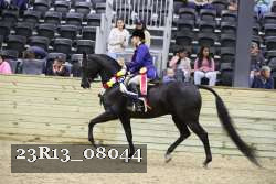 23R13_08044 thumbnail