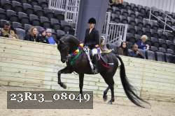 23R13_08049 thumbnail