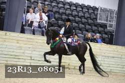 23R13_08051 thumbnail