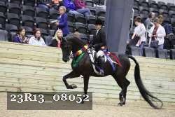 23R13_08052 thumbnail