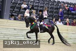 23R13_08054 thumbnail