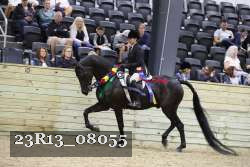 23R13_08055 thumbnail