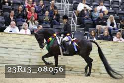 23R13_08056 thumbnail