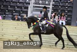 23R13_08058 thumbnail