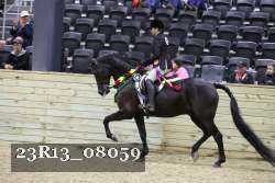 23R13_08059 thumbnail