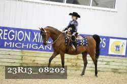 23R13_08202 thumbnail