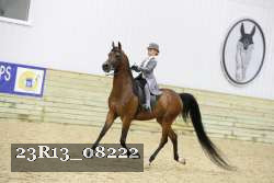 23R13_08222 thumbnail