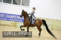 23R13_08223 thumbnail