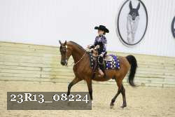 23R13_08224 thumbnail