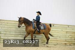23R13_08227 thumbnail