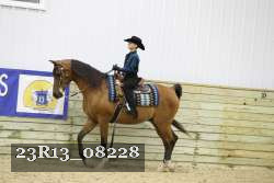 23R13_08228 thumbnail
