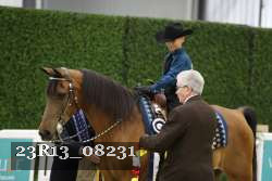 23R13_08231 thumbnail