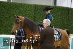 23R13_08232 thumbnail