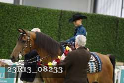 23R13_08233 thumbnail