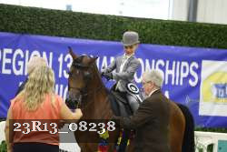 23R13_08238 thumbnail