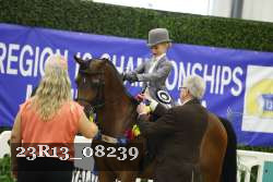 23R13_08239 thumbnail