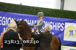 23R13_08240 thumbnail