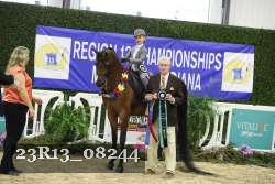 23R13_08244 thumbnail