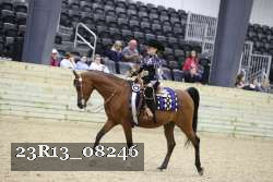 23R13_08246 thumbnail