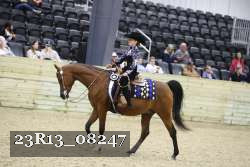 23R13_08247 thumbnail