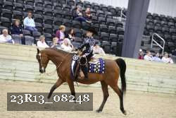 23R13_08248 thumbnail