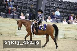 23R13_08249 thumbnail