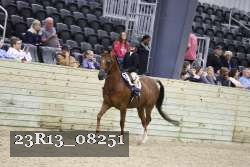 23R13_08251 thumbnail