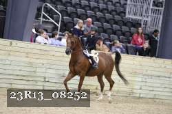 23R13_08252 thumbnail