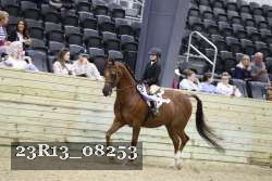 23R13_08253 thumbnail