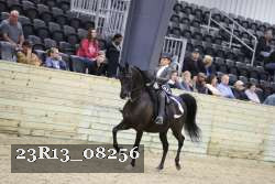 23R13_08256 thumbnail
