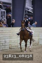 23R13_08258 thumbnail