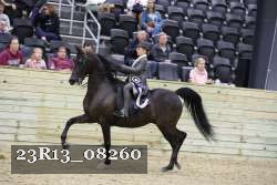 23R13_08260 thumbnail