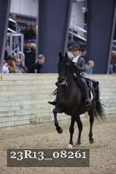 23R13_08261 thumbnail