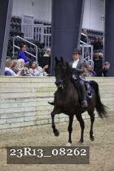 23R13_08262 thumbnail