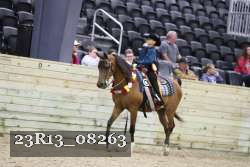 23R13_08263 thumbnail
