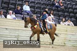 23R13_08265 thumbnail
