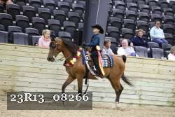 23R13_08266 thumbnail