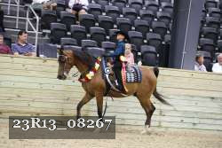 23R13_08267 thumbnail