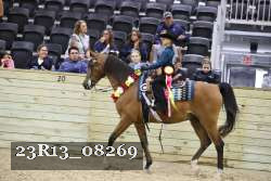 23R13_08269 thumbnail