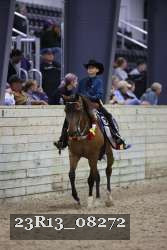 23R13_08272 thumbnail